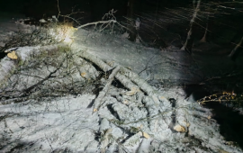 Ağac aşdı  yol bağlandı 